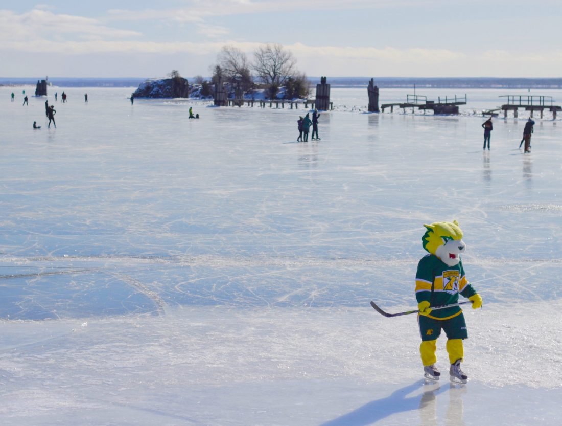 Cool cat on ice | News, Sports, Jobs - The Mining Journal - Vimarsana News